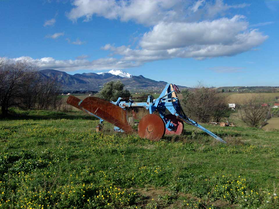 L’Azienda oggi